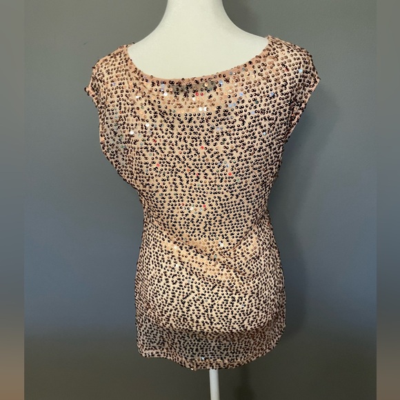 LIMITED Pink Sequin Sheer Sleeveless Blouse / Tunic - Size Small - Picture 7 of 16